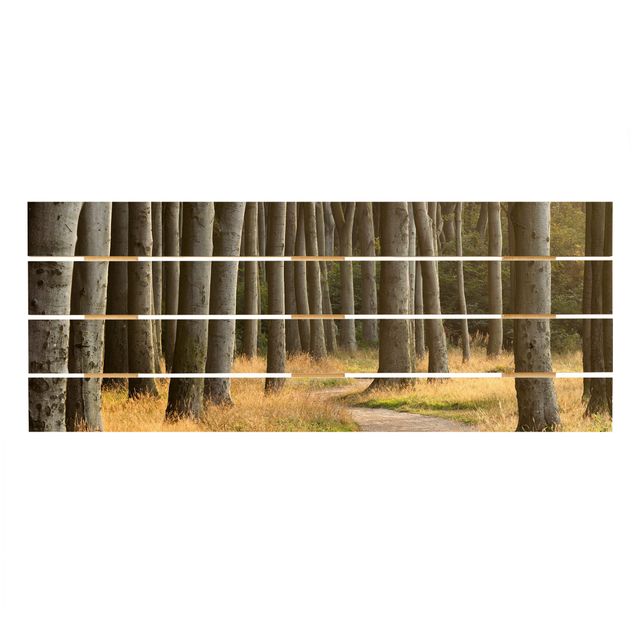 Obrazy z drewna Waldweg w północnych Niemczech