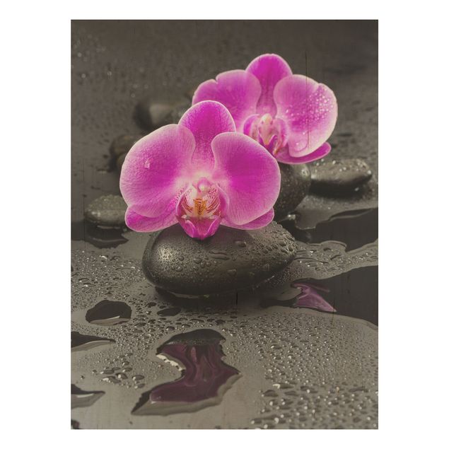 Uwe Merkel obrazy Kwiaty różowej orchidei na kamieniach z kroplami