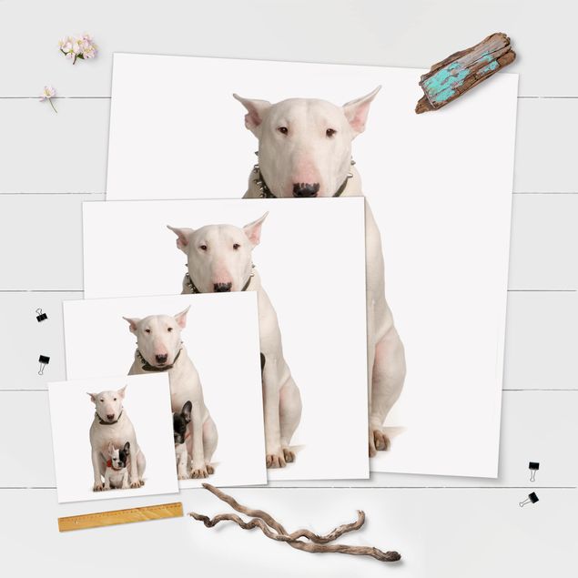 Plakaty na sciane Bull Terrier i przyjaciel