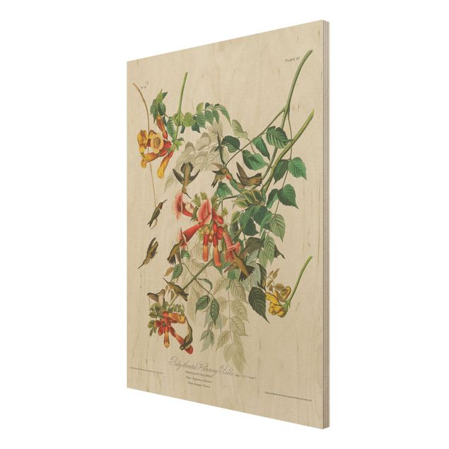 Obrazy z drewna Tablica edukacyjna w stylu vintage Koliber rubinowy