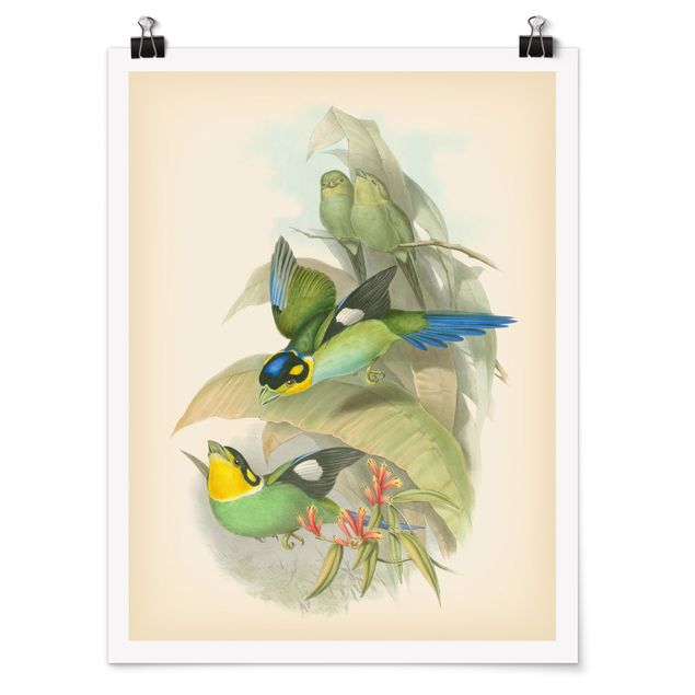 Obrazy vintage Ilustracja w stylu vintage - ptaki tropikalne