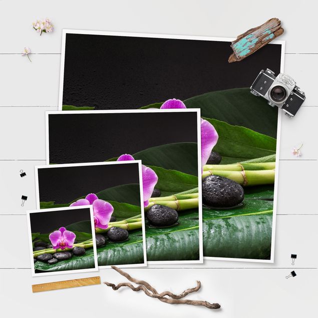 Obrazy kwiatowe Zielony bambus z kwiatem orchidei
