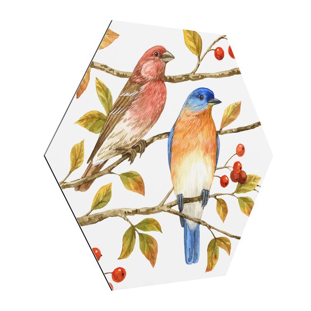Obrazy zwierzęta Ptaki i jagody - Ptaki niebieskie