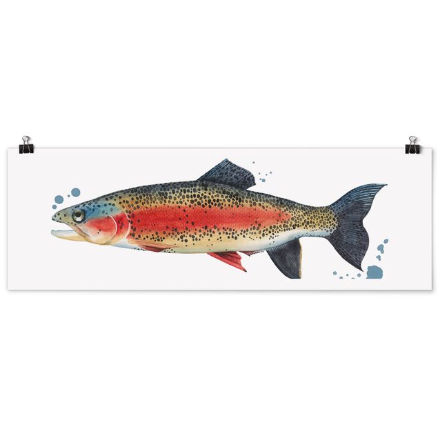Ryby obrazy Złapanie koloru - pstrąg