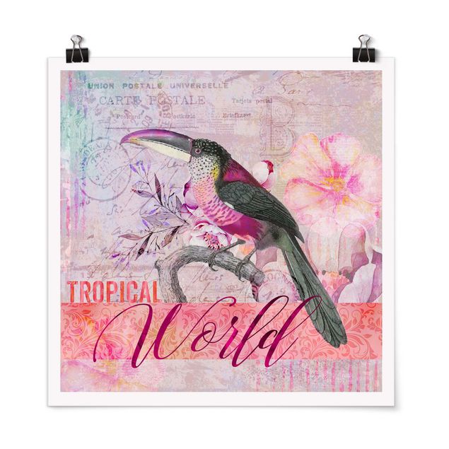 Obrazy z napisami Kolaż w stylu vintage - Tropical World Tucan