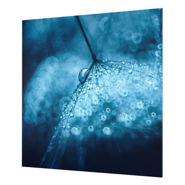 Panel szklany do kuchni - Błękitny mniszek lekarski w deszczu
