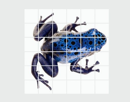 Naklejki na płytki Błękitna żaba