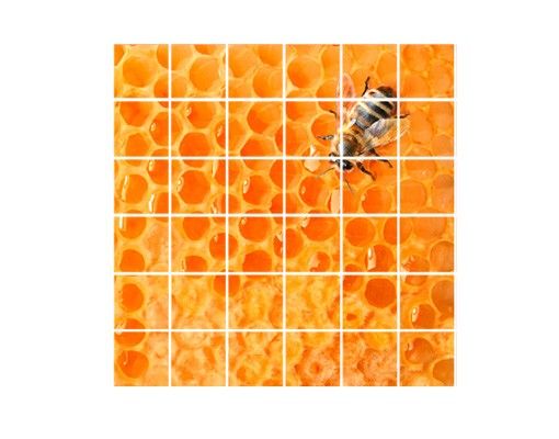 Naklejki na płytki Pszczoła miodna