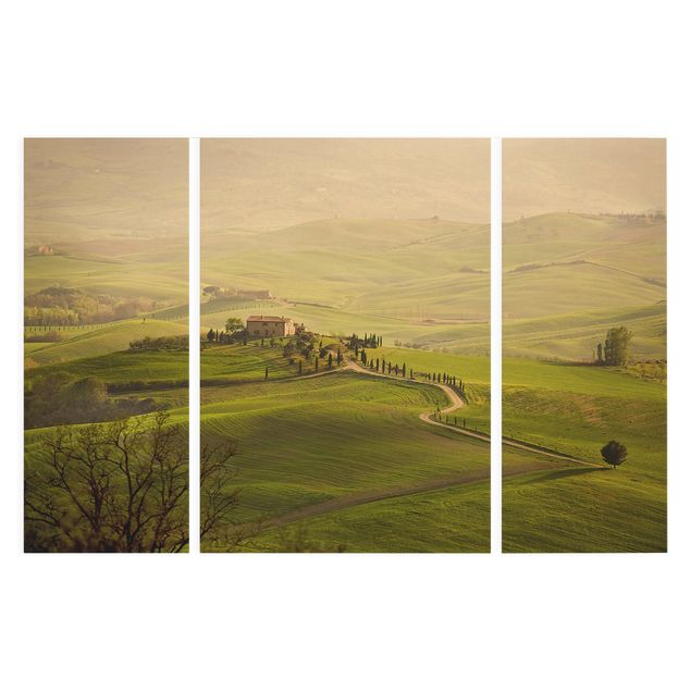 Zielony obraz Chianti Toskania