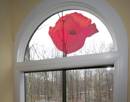 Folia okienna do salonu Kwiat czerwonego maku
