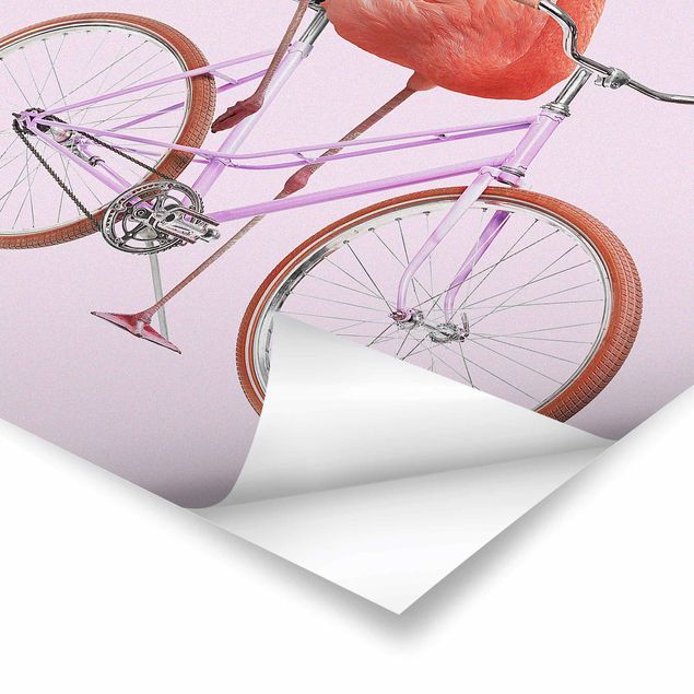 Jonas Loose obrazy Flamingo z rowerem