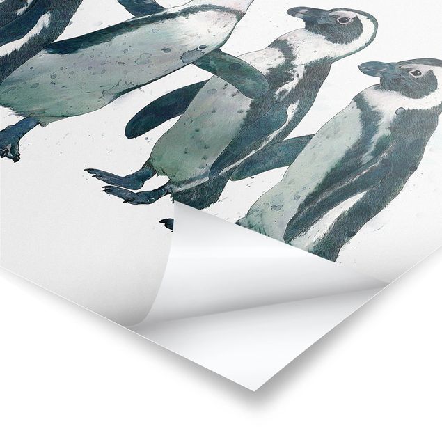 Laura Graves Art obrazy Ilustracja pingwinów czarno-biały Akwarela