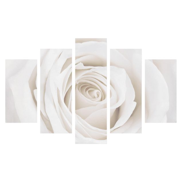 Obraz na płótnie 5-częściowy - Piękna biała róża