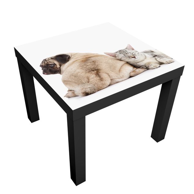 Okleina meblowa IKEA - Lack stolik kawowy - Nr 424 Pugs and Kittens