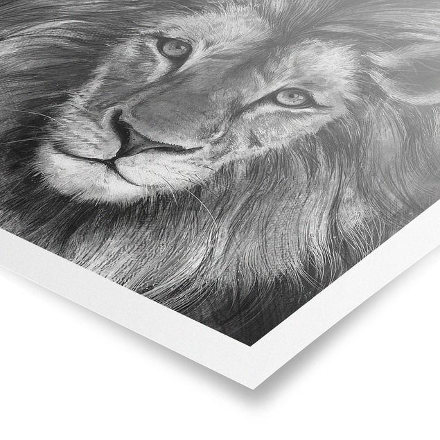 Obraz lwa Ilustracja Lew, czarny, biały, malarstwo