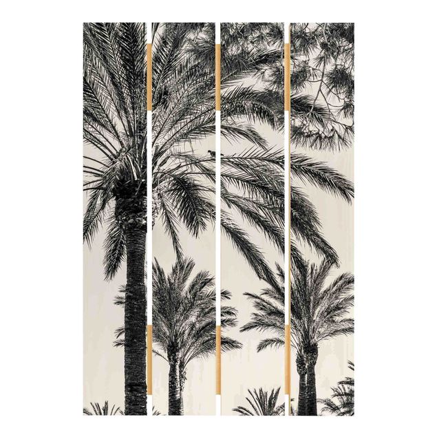 Obrazy z drewna Palmy o zachodzie słońca, czarno-białe