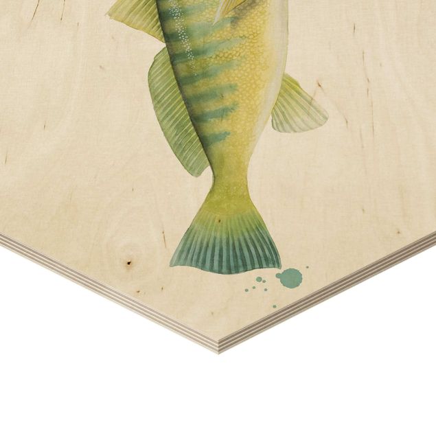 Obraz heksagonalny z drewna 4-częściowy - Kolorowy połów - zestaw ryb I