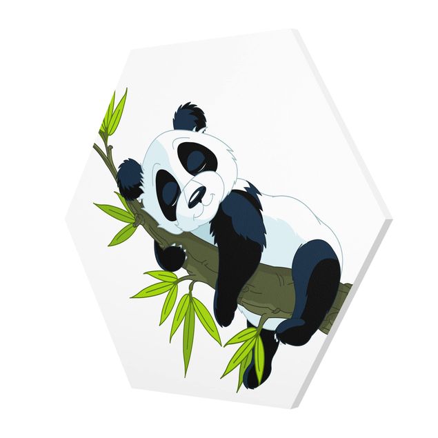 Obrazy panda Śpiąca panda