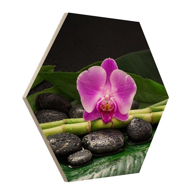 Obrazy bambus Zielony bambus z kwiatem orchidei