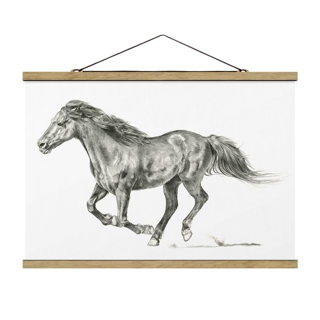 Obrazy koń Badanie dzikich koni - klacz