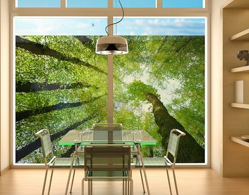 Folia okienna do sypialni Drzewa życia