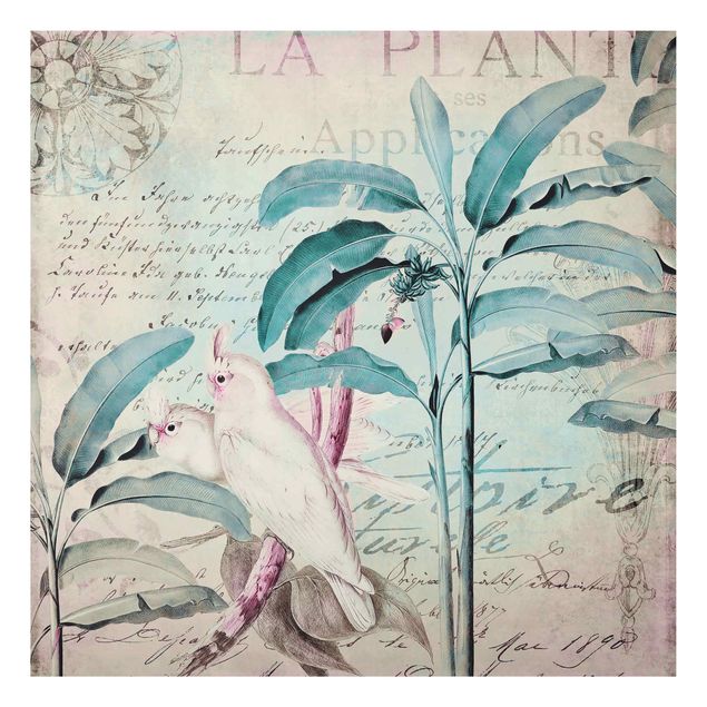 Obrazy do salonu Kolaże w stylu kolonialnym - Kakadu i palmy