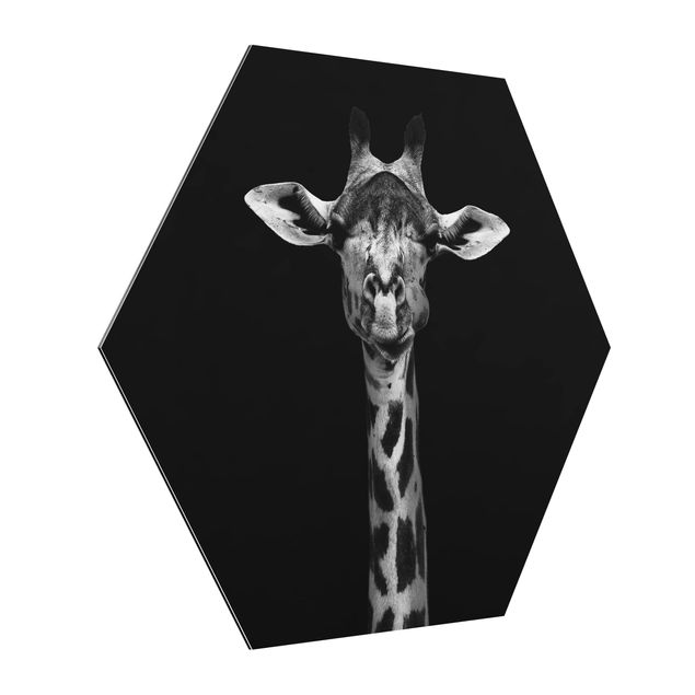 Obraz heksagonalny z Alu-Dibond - Portret ciemnej żyrafy