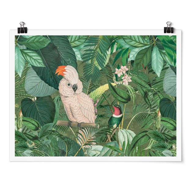 Obrazy zwierzęta Kolaż w stylu vintage - kakadu i koliber