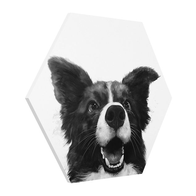 Obrazy zwierzęta Ilustracja pies Border Collie czarno-biały malarstwo