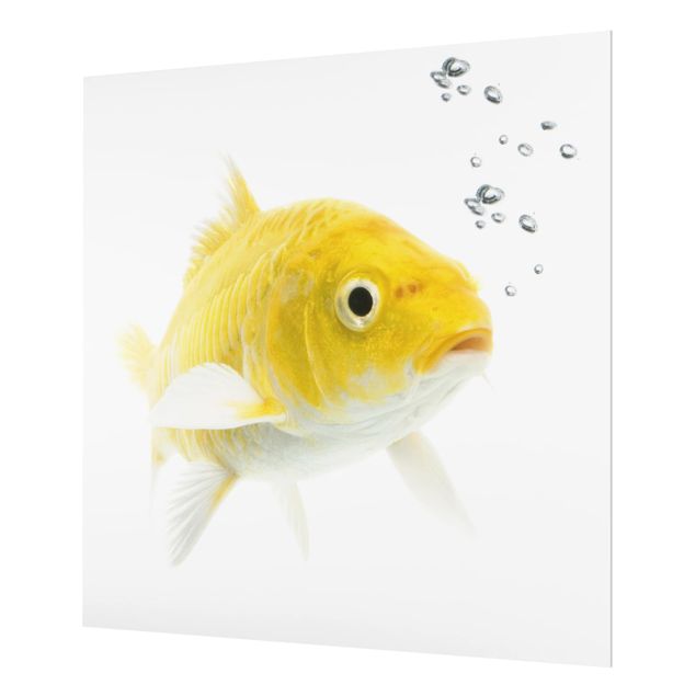 Panel szklany do kuchni - Żółta rybka