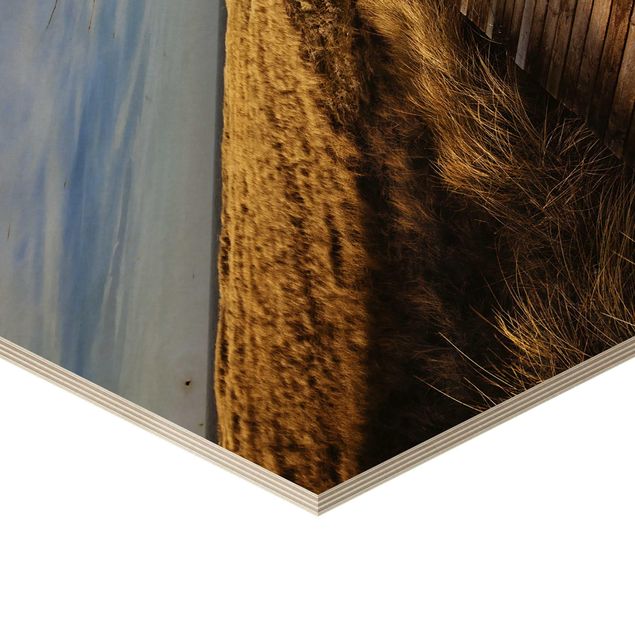 Obraz heksagonalny z drewna - Ścieżka wydmowa na Sylcie