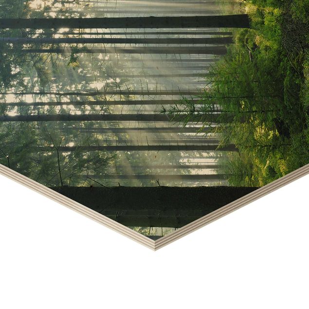 Obraz heksagonalny z drewna - Świetlany las