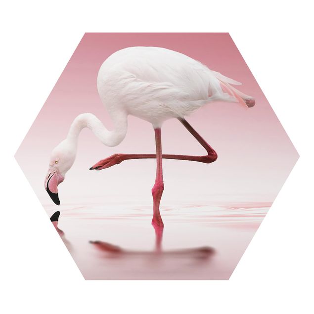 Pióro obraz Taniec flamingów