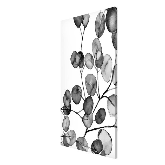 Obrazy nowoczesny czarno-biały Akwarela gałązka eukaliptusa