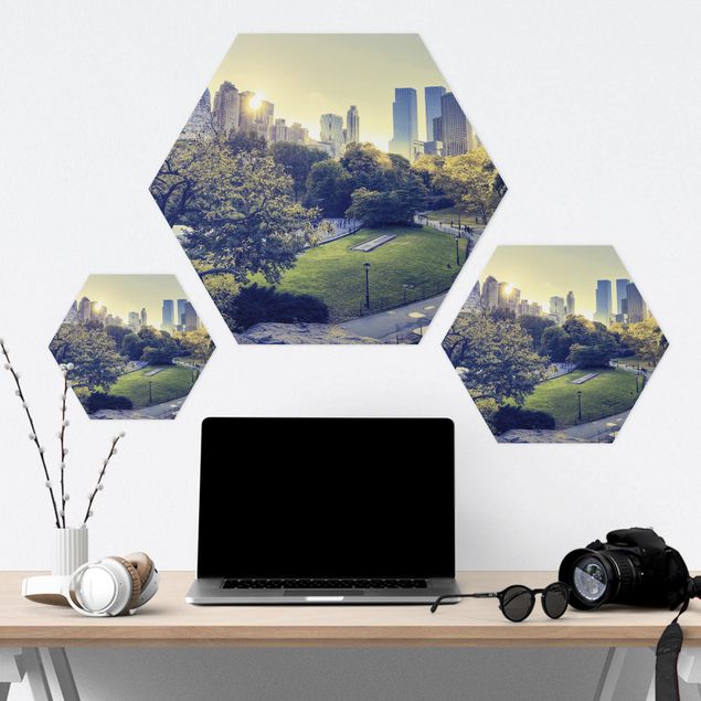 Obraz heksagonalny z Forex - Pokojowy Central Park