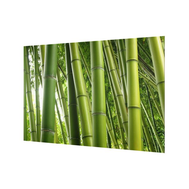 Panel szklany do kuchni - Drzewa bambusowe