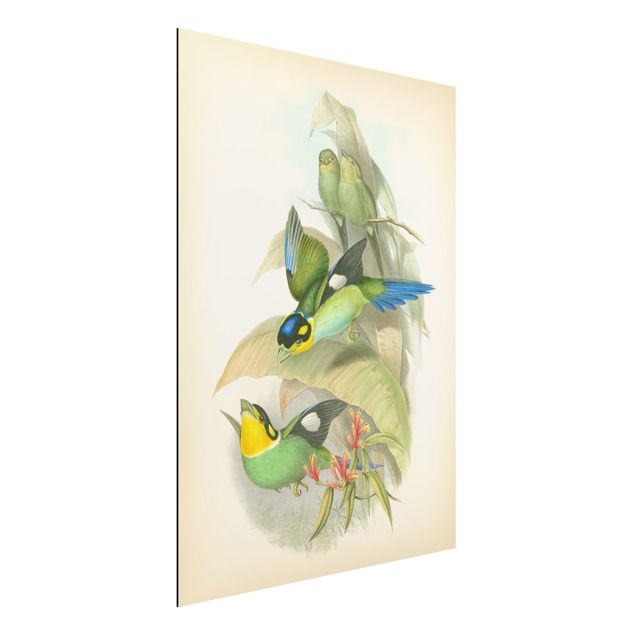 Dekoracja do kuchni Ilustracja w stylu vintage - ptaki tropikalne