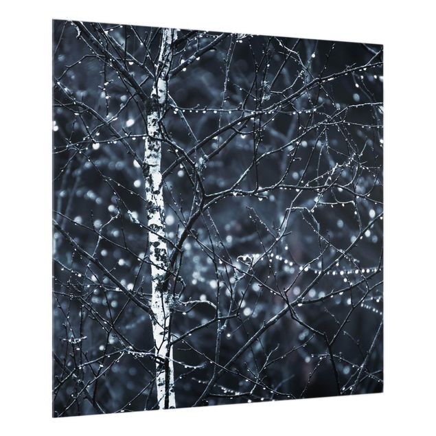 Panel szklany do kuchni - Ciemna brzoza w zimnym deszczu