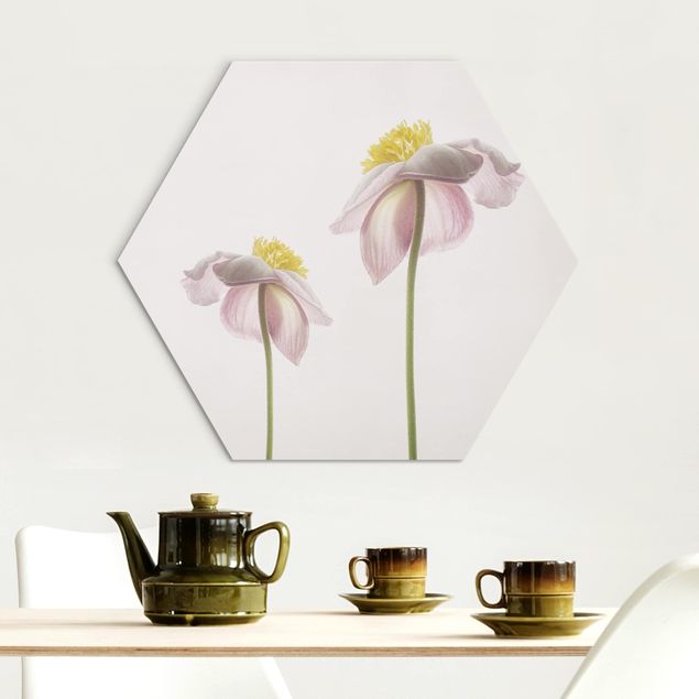 Obraz heksagonalny z Alu-Dibond - Kwiaty zawilca różowego