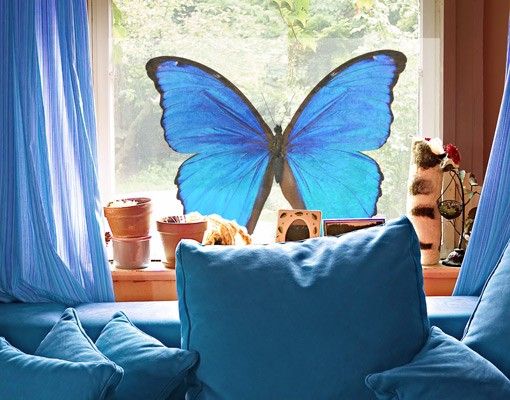 Folia okienna do sypialni Motyl morfiny niebieskiej