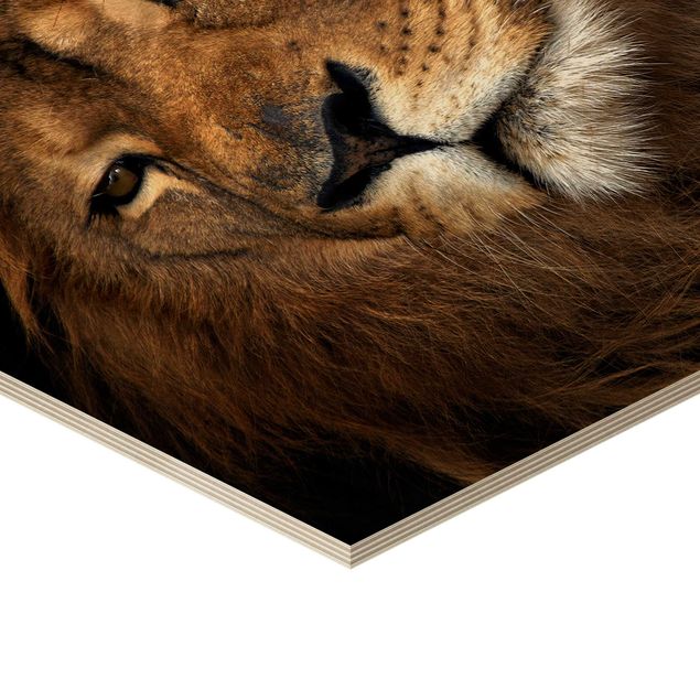 Obraz heksagonalny z drewna - Widok lwa