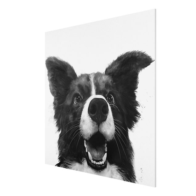 Obrazy nowoczesny Ilustracja pies Border Collie czarno-biały malarstwo