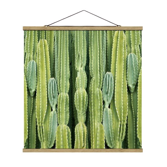 Zielony obraz Ściana kaktusów