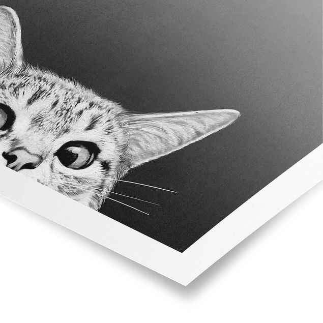 Czarno białe obrazy Ilustracja kot czarno-biały rysunek