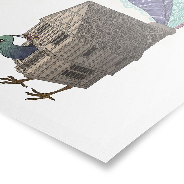 Obrazy pióra Ilustracja domku dla ptaków z piórami