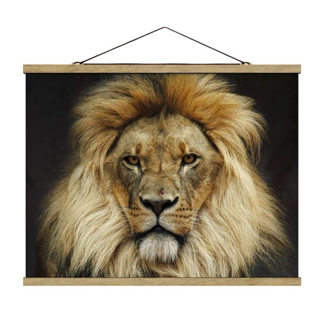 Zwierzęta obrazy Mądrość lwa