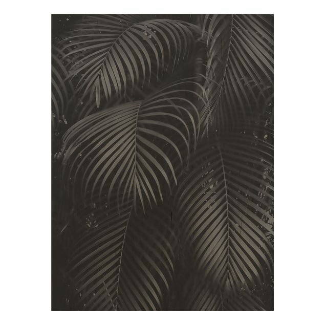 Andrea Haase obrazy  Czarne liście palmy