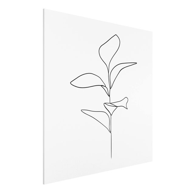 Obrazy do salonu nowoczesne Line Art Liście roślin Czarne Białe