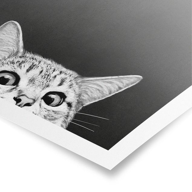 Obrazy koty Ilustracja kot czarno-biały rysunek