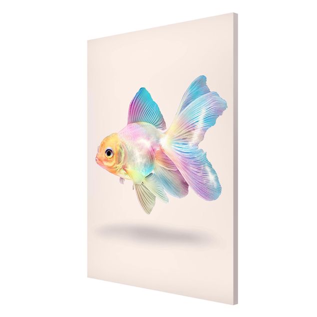 Obrazy nowoczesne Ryby w pastelach